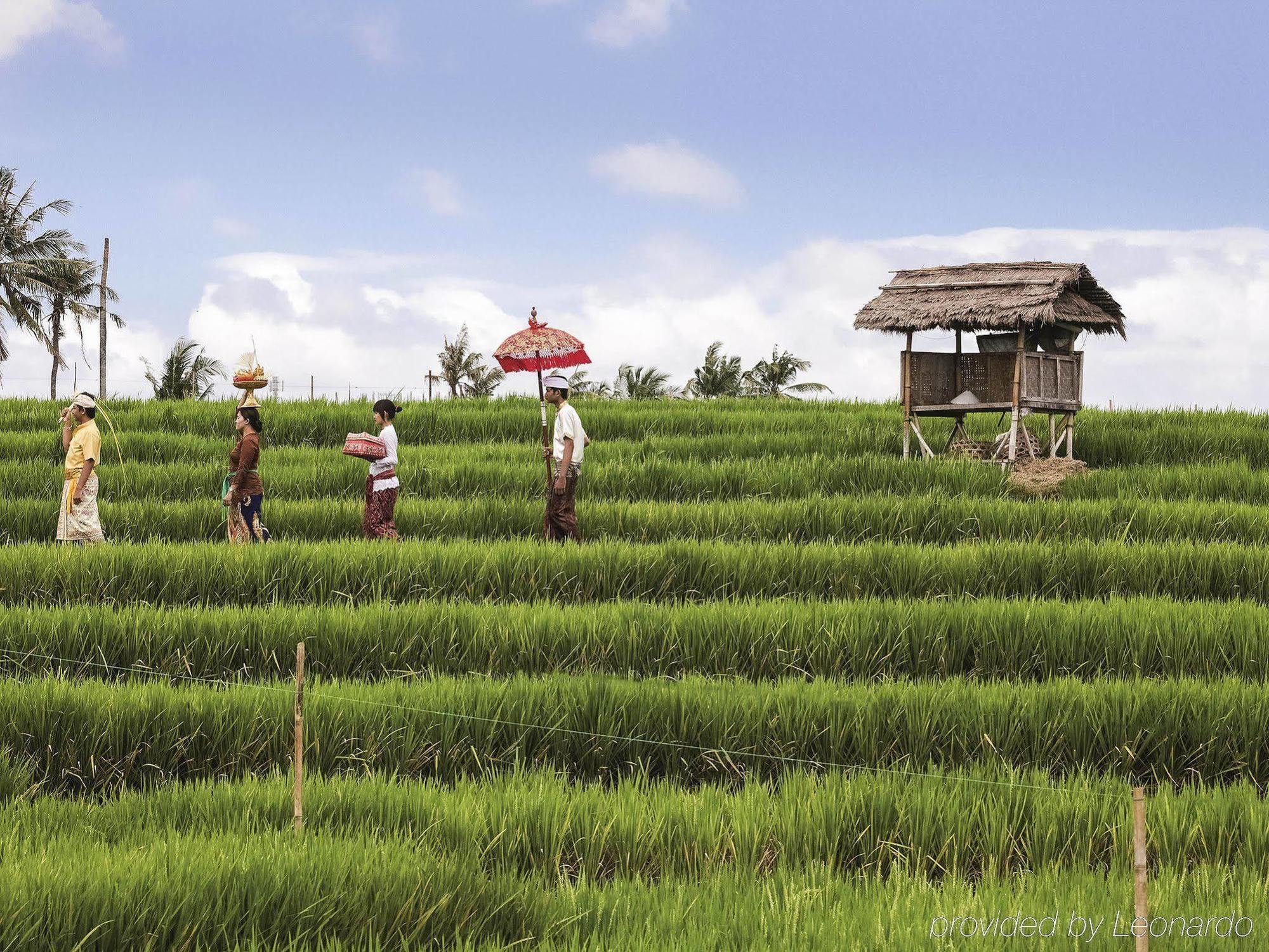 Hilton Garden Bali 4*